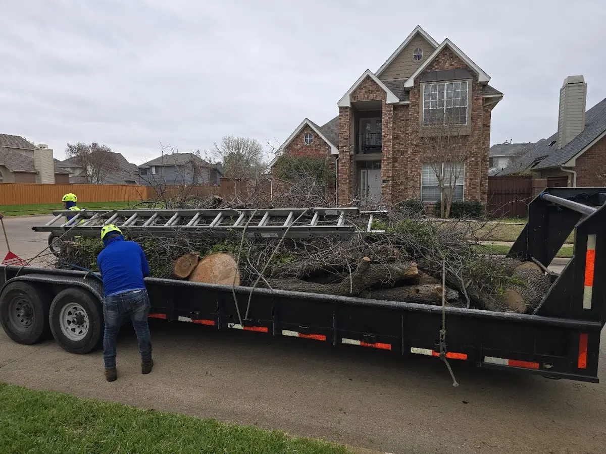 Expert Lot Clearing with proper safety equipment in Carteret